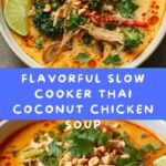 Slow Cooker Thai Coconut Chicken Soup Recipe