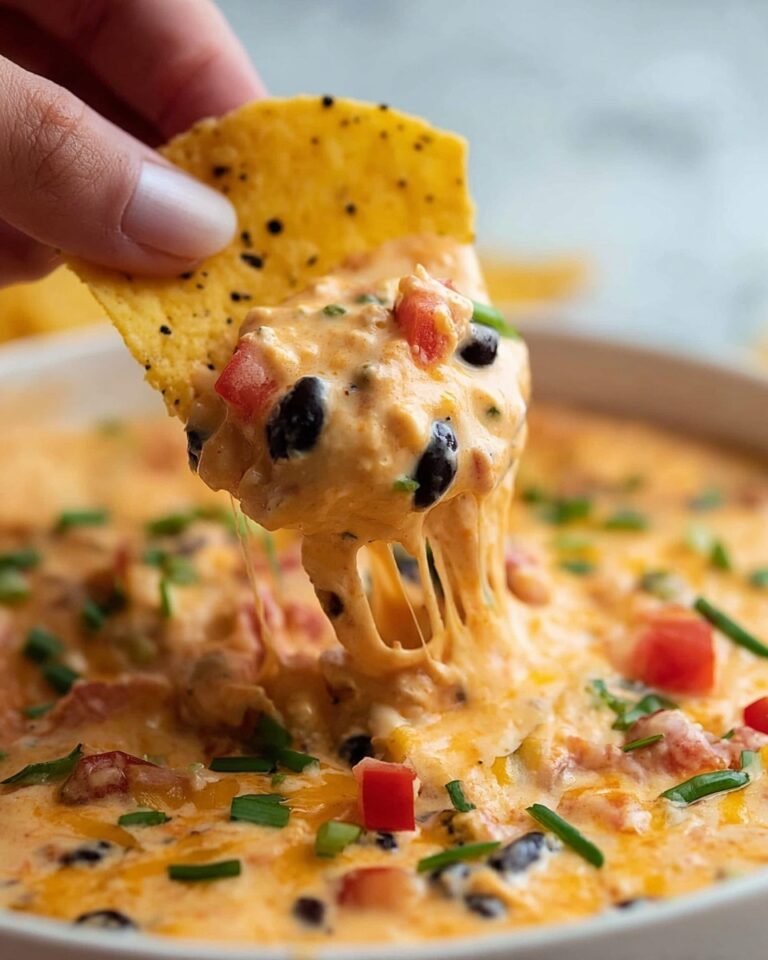 Crock Pot Chicken Nacho Dip Recipe